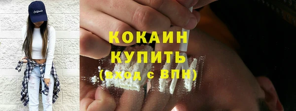 2c-b Бородино