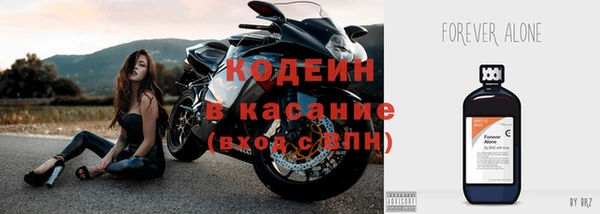 2c-b Бородино