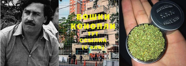 2c-b Бородино