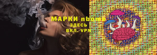 2c-b Бородино