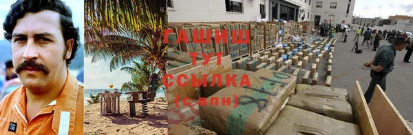 2c-b Бородино