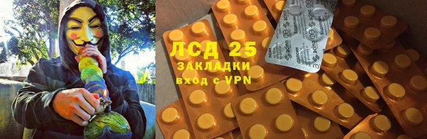 2c-b Бородино