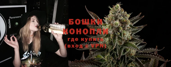 стаф Бронницы