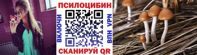Купить где  Будённовск  Псилоцибиновые грибы Magic Shrooms 